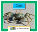 Q6082Crabscover1.jpg