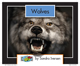 Q60152WolvescoverNZ1.jpg