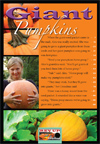 1.12 Giant Pumpkins_Proof2-1.jpg