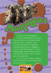 1.21 Mudpuppies-1.jpg