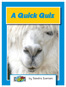 2.11 copy.4 Quick Quiz Cover-1.jpg