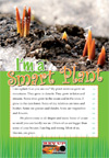 RUCS.2 copy.7 I'm a Smart Plant-1.jpg