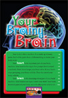 RUCS.2 copy.13 Your Brainy Brain-1.jpg