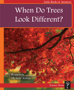 D9 When Do Trees Look Different cover