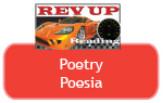 poetry poesia 100.jpg